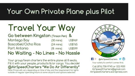 Private Plane Plus Pilot (3)